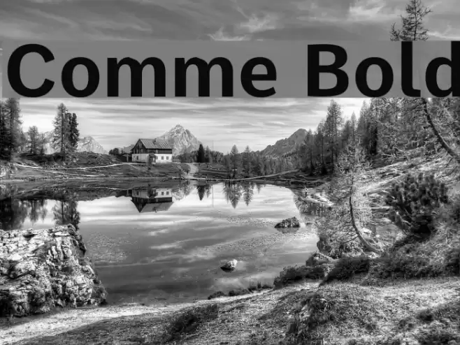 Comme Bold Font examples