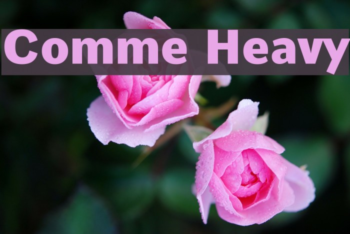 Comme Heavy Font examples