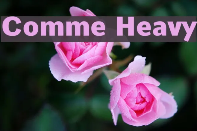 Comme Heavy Example 3