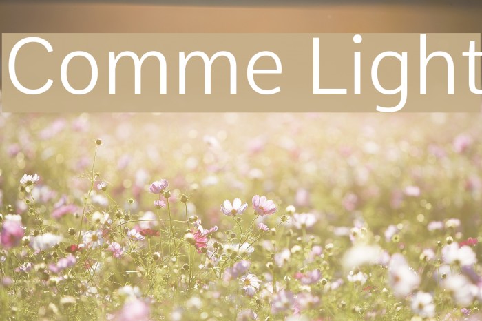 Comme Light Font examples