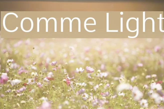 Comme Light Example 2
