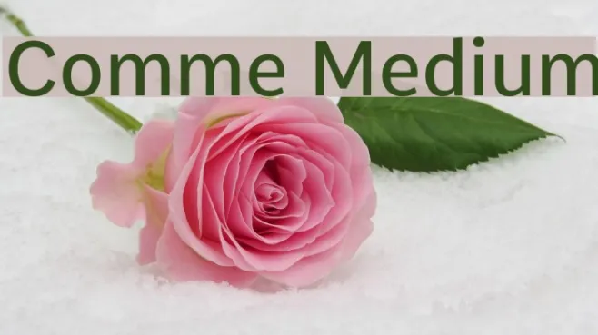 Comme Medium Example 2