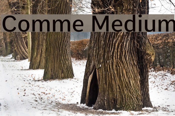 Comme Medium Font examples