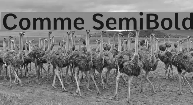 Comme SemiBold Font examples