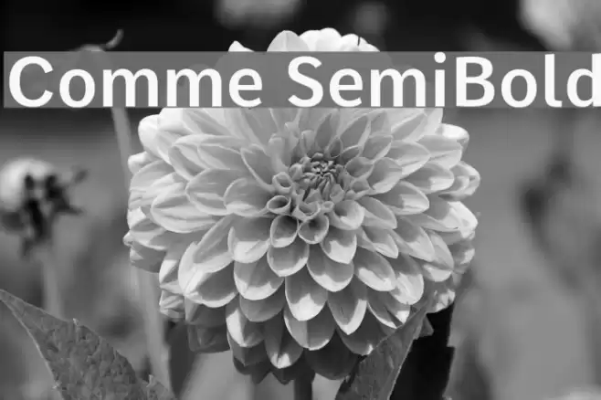 Comme SemiBold Font examples
