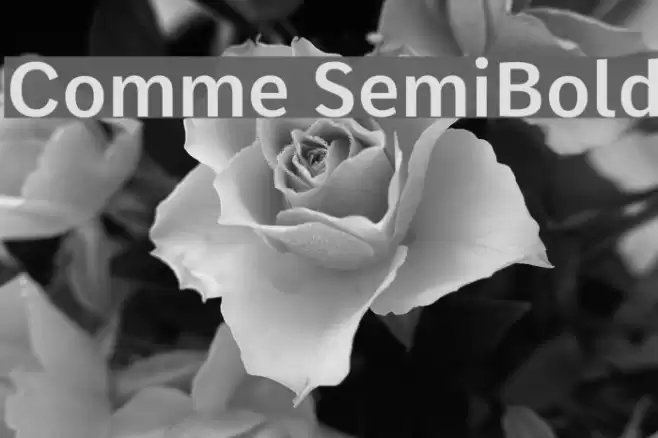 Comme SemiBold Font examples