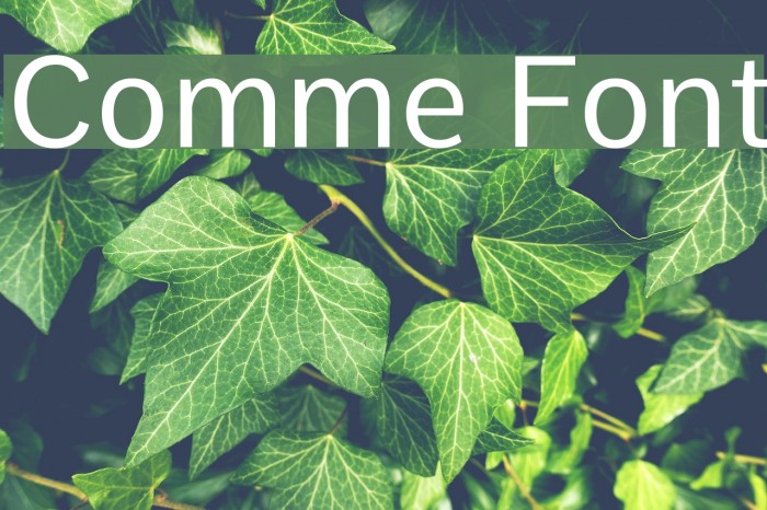 Comme Font examples