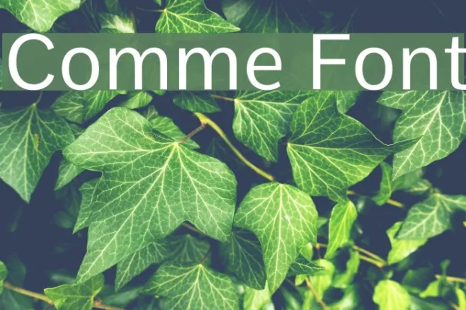 Comme Example 1