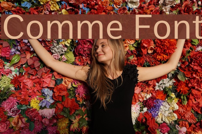 Comme Font examples