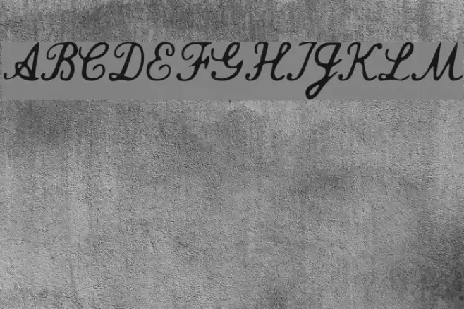 Commercial Script Polices examples