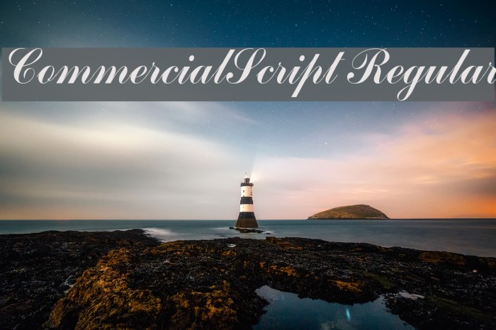 CommercialScript Regular Schriftart examples