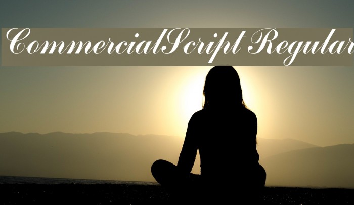 CommercialScript Regular Schriftart examples