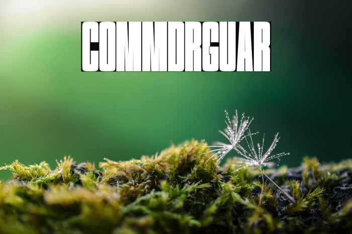 Committed Regular Example 2