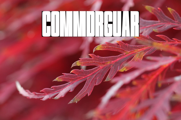 Committed Regular Example 3