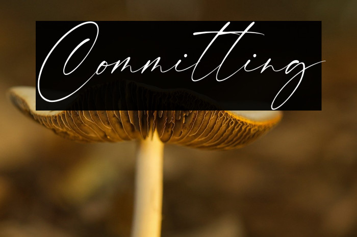 Committing Example 1