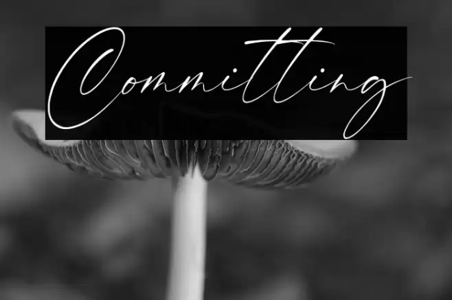 Committing Font examples