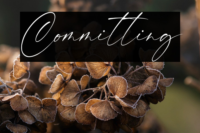 Committing Example 2