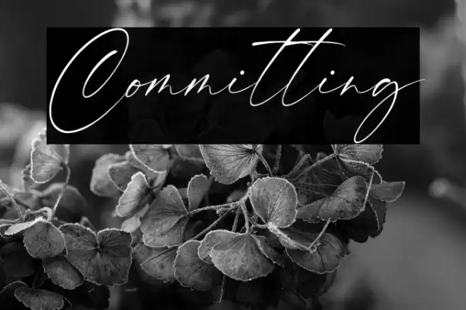 Committing Font examples