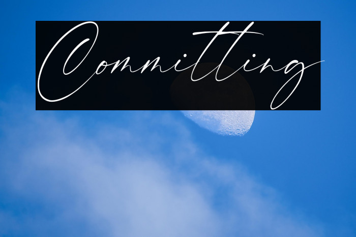 Committing Example 3