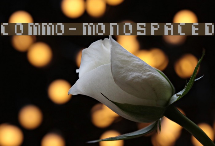 Commo-Monospaced Font examples