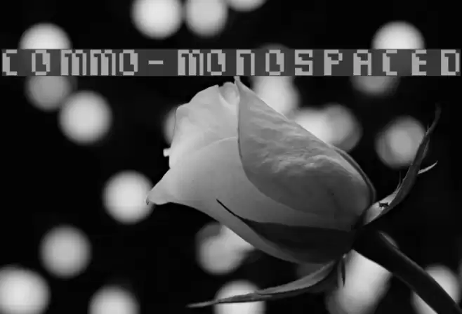Commo-Monospaced Fuentes examples