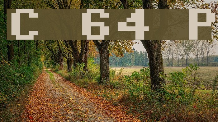 Commodore 64 Pixeled Fonte examples