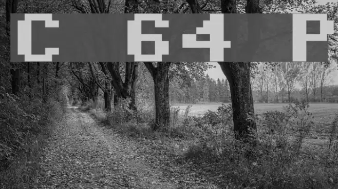 Commodore 64 Pixeled Fonte examples