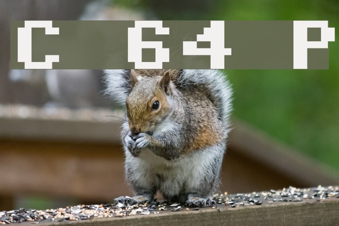 Commodore 64 Pixeled Fonte examples