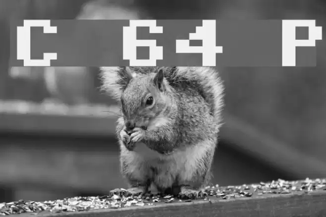 Commodore 64 Pixeled Fonte examples