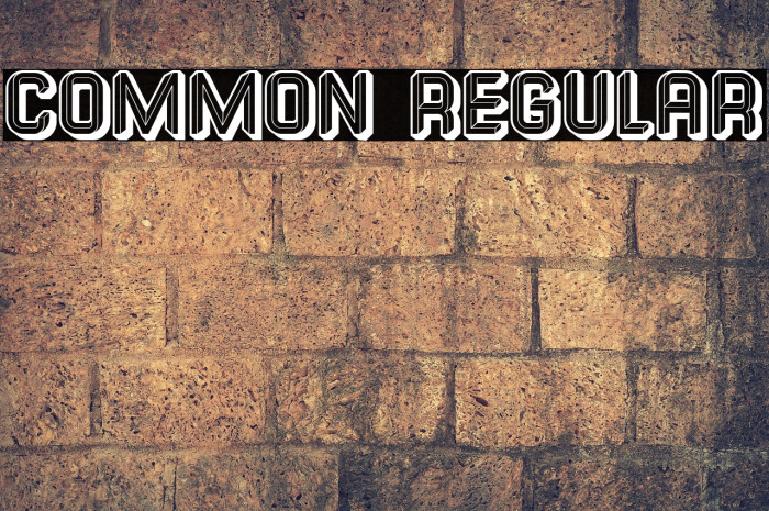 Common Regular Font examples