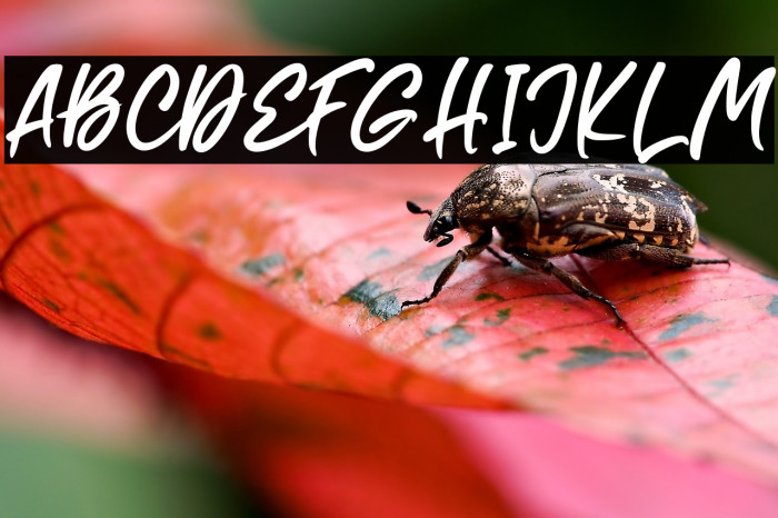 Common Rejection Example 3