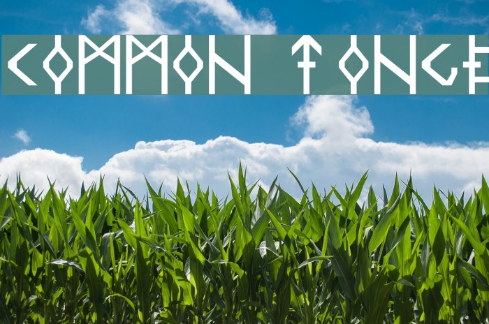 Common Tongue Font examples