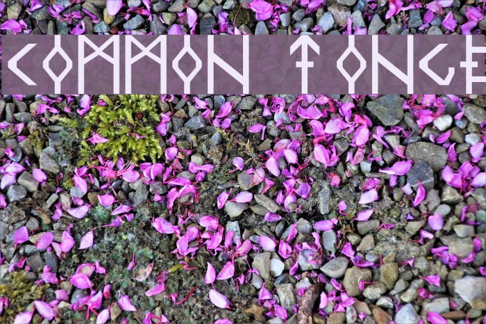 Common Tongue Font examples