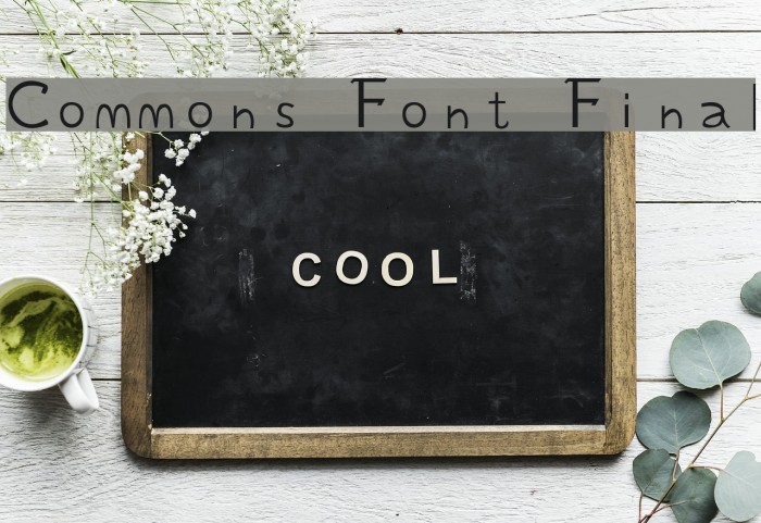Commons Font Final Font examples