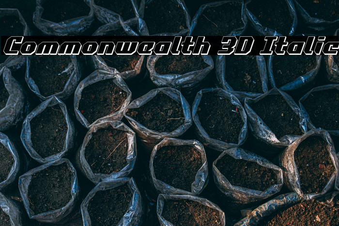 Commonwealth 3D Italic Example 3