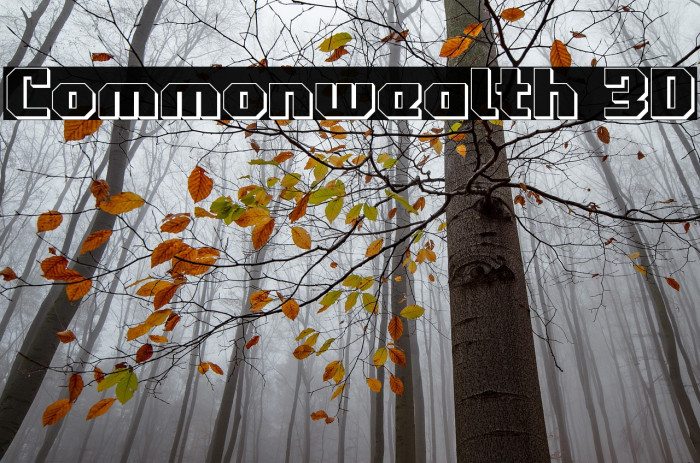 Commonwealth 3D Example 1