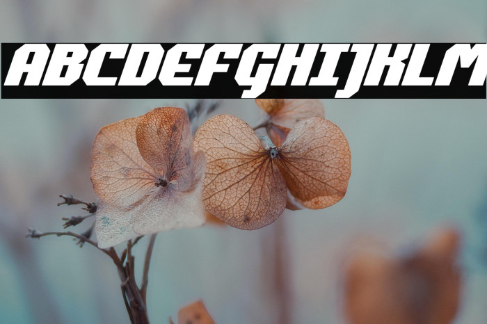 Commonwealth Bold Italic Example 1