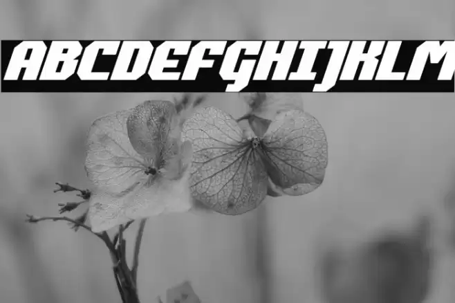 Commonwealth Bold Italic Font examples