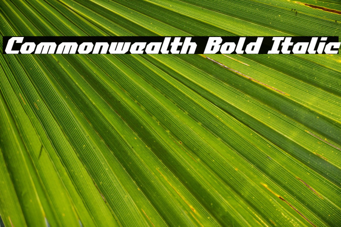 Commonwealth Bold Italic Example 1