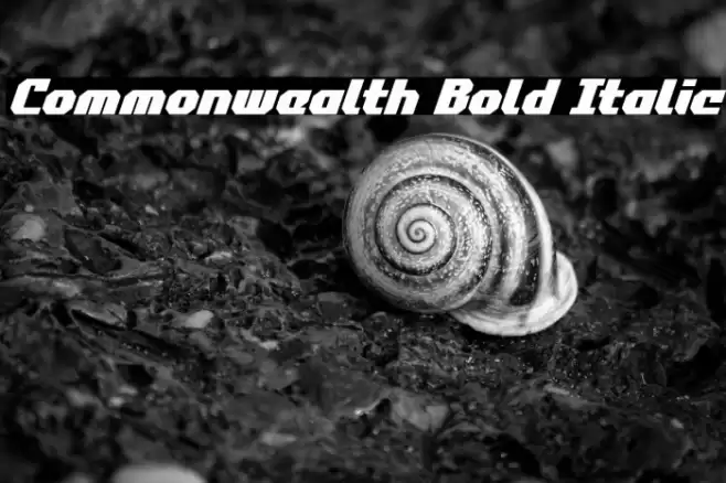 Commonwealth Bold Italic Font examples