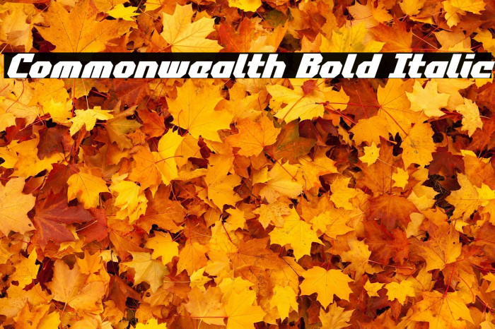 Commonwealth Bold Italic Example 3