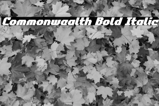 Commonwealth Bold Italic Font examples