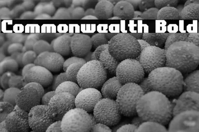 Commonwealth Bold Font examples