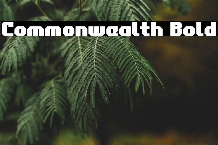 Commonwealth Bold Example 3