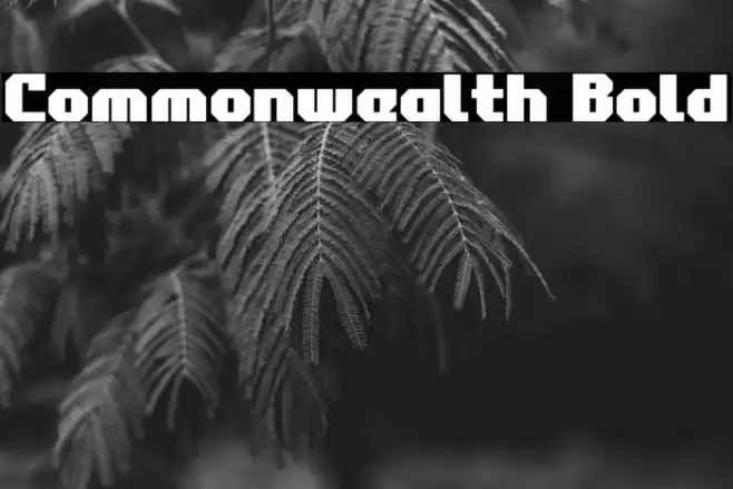 Commonwealth Bold Font examples