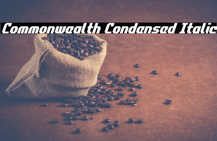 Commonwealth Condensed Italic Example 2