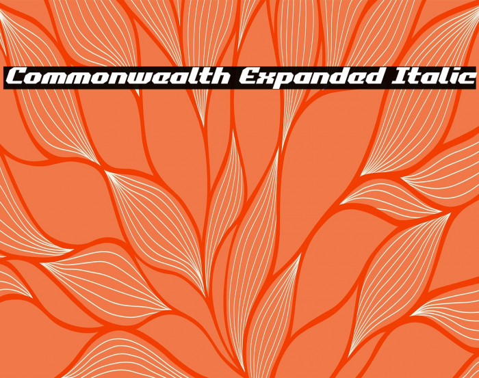 Commonwealth Expanded Italic Example 3