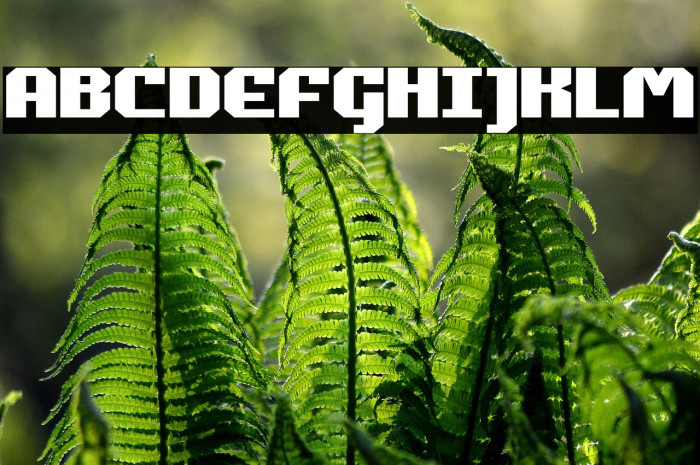 Commonwealth Expanded Example 3