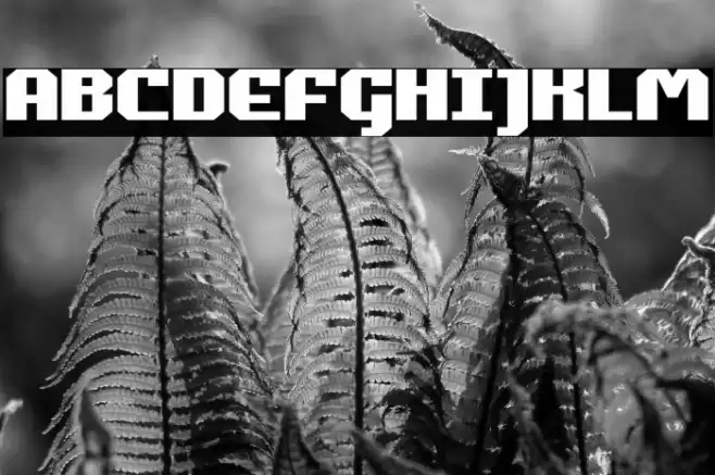 Commonwealth Expanded Font examples