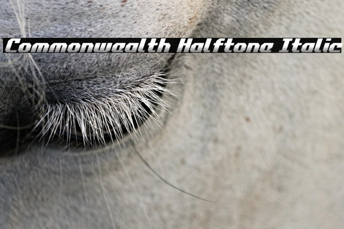 Commonwealth Halftone Italic Example 1